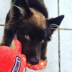 Lucy Love Tharp - @lucyjumpin - Instagram