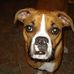 Lucy Tharp - Facebook