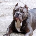 Lucy Thurman Foster - @lucythurman11 - Instagram