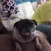 Lucy Tompkins - @lucy.tompkins - TikTok