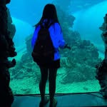 Lucy Tseng - @yulucy0705 - Instagram
