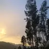 ALE🪐 - @lucy.urbano1 - TikTok