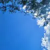 Urban-depo - @lucy.urbandepo - TikTok