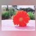 Lucy Vail - Facebook