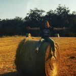 Lucy Vogelbacher - @lucyvogelbacher - Instagram