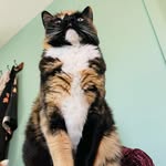 Lucy Wallace - @lucywallacedtbf - Instagram