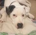 Lucy Wallace - Facebook