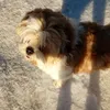 lucyanngracyellizabethwatt - @girlygirls4love - TikTok