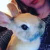 lucyannwatt - @luluboopiggy90 - TikTok