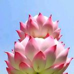 Lucy Wayne - Facebook