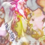Lucy Webster - @lucywebsterstudio - Instagram