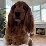 Lucy Weller - @lucydelta - Instagram