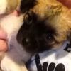lucy_welsh - @lucy_welsh - TikTok