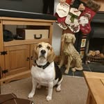 Lucy Cathryn Wing - @lucycathrynwing - Instagram