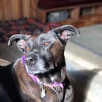 Lucy Wing-Lafnear - @lucywinglafnear - Instagram