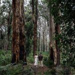 Lucy Wittenbaker - @lucywittenbaker - Instagram