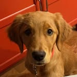 Lucy - @lucywoocgurl - Instagram