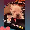 lucy woow 🐶 - @lucy.woow - TikTok