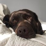 Lucy Wooten - @lucy_wooten - Instagram