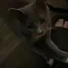 Lucy Wooten - @lucy.wooten - TikTok