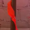 lucy..worm - @lucy..worm - TikTok