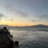 lucy - @lucy.wray - TikTok