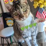 Lucy Yancy - @patriciaharden99 - Instagram