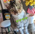 Lucy Yancy - Facebook