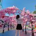 Lucy Yang - Facebook
