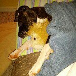 Lucy Yarbrough - @_lucythebully - Instagram