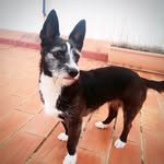 Lucy - @lucyy__e_ - Instagram