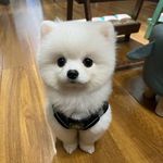 yeager-Lucy - @yeager_lucy8.11 - Instagram
