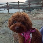 문여랑 - @lucyyeorang - Instagram