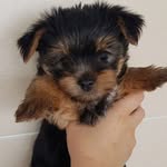 LUCY - @lucy_york_ - Instagram