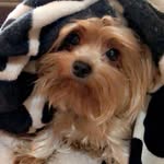 Lucy🇲🇦🇺🇦 - @lucy_yorkshire14 - Instagram