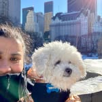 Lucy y Tintin en New York City (Nueva York) - @lucyloves.nyc - Instagram
