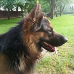 Lucyna Liszka - @lucyna.liszka.351 - Instagram