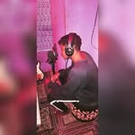 ludakingofficial - @ludakingofficial - Instagram