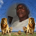 Ludlow Brown - Facebook
