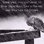Ludlow Brown - Facebook