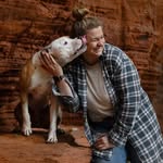 Kaiser Ludwig - @amstaff_kaiser_ludwig - Instagram