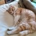 Luella Berard - Facebook