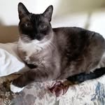 Louella Bender - @louellabender - Instagram