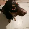 user8161001963013 - @lulabender - TikTok