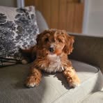 Lola Steele - Facebook