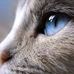 Lugene Plummer - Facebook