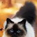 Lugene Plummer - Facebook