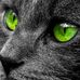 Lugene Plummer - Facebook