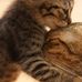 Lugene Plummer - Facebook