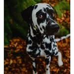 luigi basile - @infophotobasile - Instagram